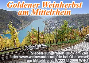 Ziel der gef�hrten Weinwanderung am Sieben-Jungfrauen-Blick bei Oberwesel am Rhein
